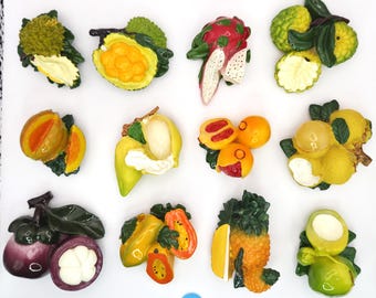 Exotic Tropical Fruit Fridge Magnets – Set of 12 | Colorful Kitchen Decor | Cute Resin Magnets