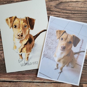 5x7 Pet Illustration | Commission | Hand Drawn