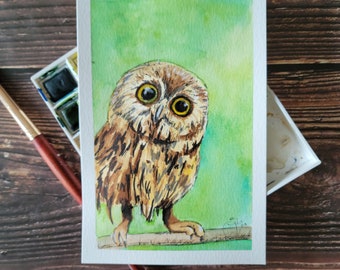 4x6 Illustration of Tiny Owl | Original Art | Art Prints