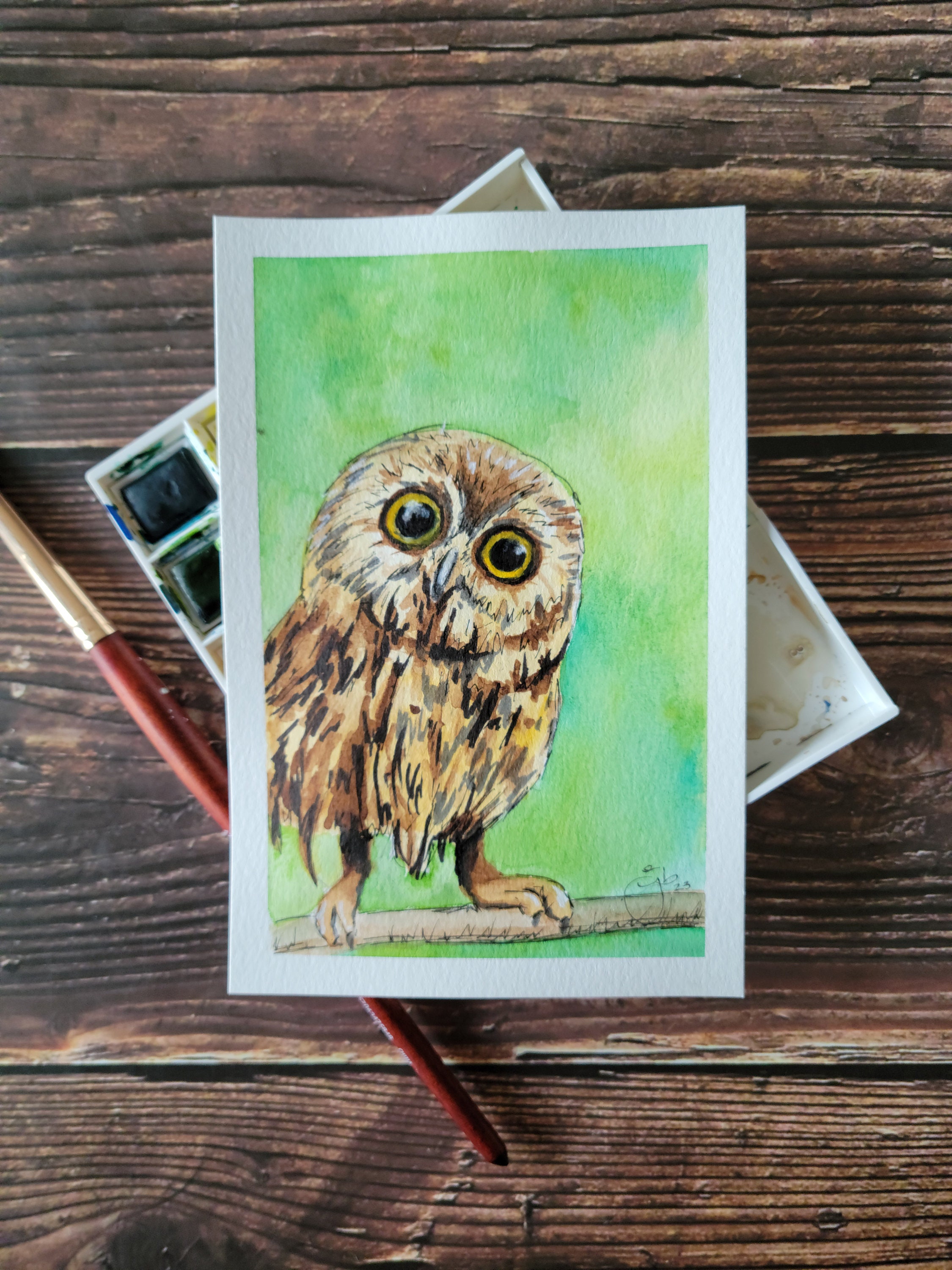 4x6 Illustration of Tiny Owl | Original Art | Art Prints