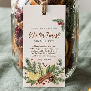 Op de afbeelding: Een doorzichtige glazen pot gevuld met gedroogde sinaasappelschijfjes, kaneelstokjes, steranijs en dennennaalden. Een rechthoekig papieren label vastgemaakt met touw bevat de tekst: A Cozy Christmas Blend, Winter Forest Simmer Pot.