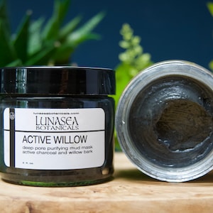 Activated Willow Charcoal Purifying Mud Mask