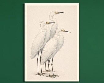 Egret Wall Art Printable, White Egret Illustration, Minimalist Bird Print, Vintage Illustration, Luxury Home Decor, Digital Download