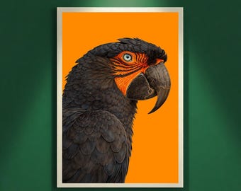 Collector Black Parrot Wall Art Printable, Dark Statement Bird Portrait, Modern Power Art, Luxury Artistic Home Decor, Digital Download