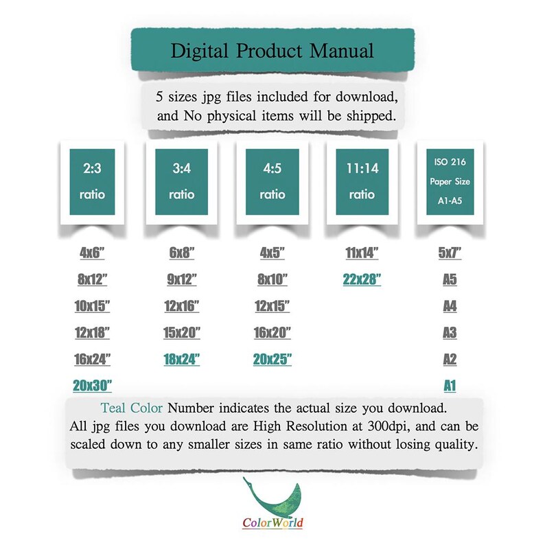 May include: Digital Product Manual graphic showing size ratios and paper sizes. Includes 2:3, 3:4, 4:5, and 11:14 ratios, and ISO 216 paper sizes A1-A5. Sizes include 10x15 cm, 20x30 cm, 30x40 cm, 40x50 cm, and 50x75 cm.