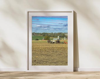 Amish Ernte Fotografie Druck | Lancaster County Farm (Digitaler Download)