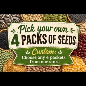 Può includere: Una collezione di vari semi in piccole ciotole che circondano un cartello centrale con la scritta Pick your own 4 PACKS OF SEEDS e Custom: Choose any 4 packets from our store. I semi includono girasole, soia, zucca, papavero, neri, verdi e gialli.