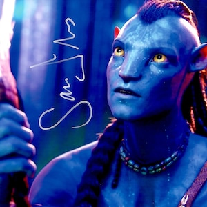 Könnte beinhalten: Ein blauhäutiger Na'vi-Charakter aus dem Film Avatar, mit gelben Augen und einer geflochtenen Frisur. Die Figur hat rote Ohren und trägt eine Halskette. Das Bild enthält die Signatur "Sam W" in Weiß.