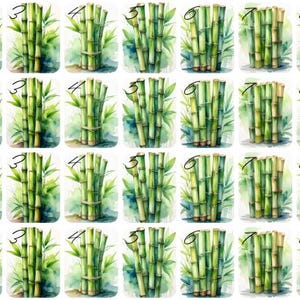 May include: Watercolor illustrations of bamboo stalks and leaves, arranged in various bundles. Each image is numbered. The artwork features a vibrant green color palette, with a cartoon bird in a purple jacket in the corner of each image.