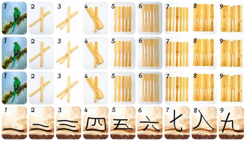 May include: A set of flashcards featuring various images and numbers. The top three rows display images of a parrot, wooden sticks, and bamboo utensils. The bottom row shows Chinese numerals from one to nine.