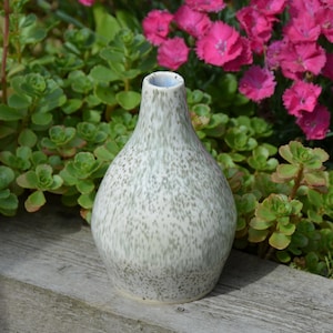 May include: A small, pear-shaped ceramic vase with a smooth, off-white base glaze featuring a dense, speckled pattern of muted sage green dots. The vase has a narrow, tapered neck and a wide, rounded body with a visible light blue interior rim.