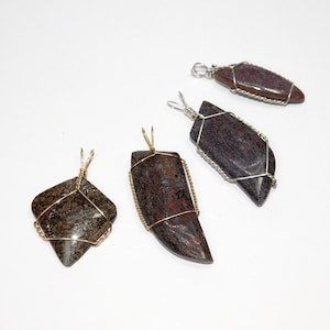 Dinosaur Bone Pendants in Gold and Silver, Choice