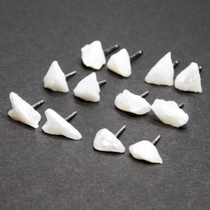 Rare, American Tennessee River Pearl Stud Earrings, Sterling Silver, Choice