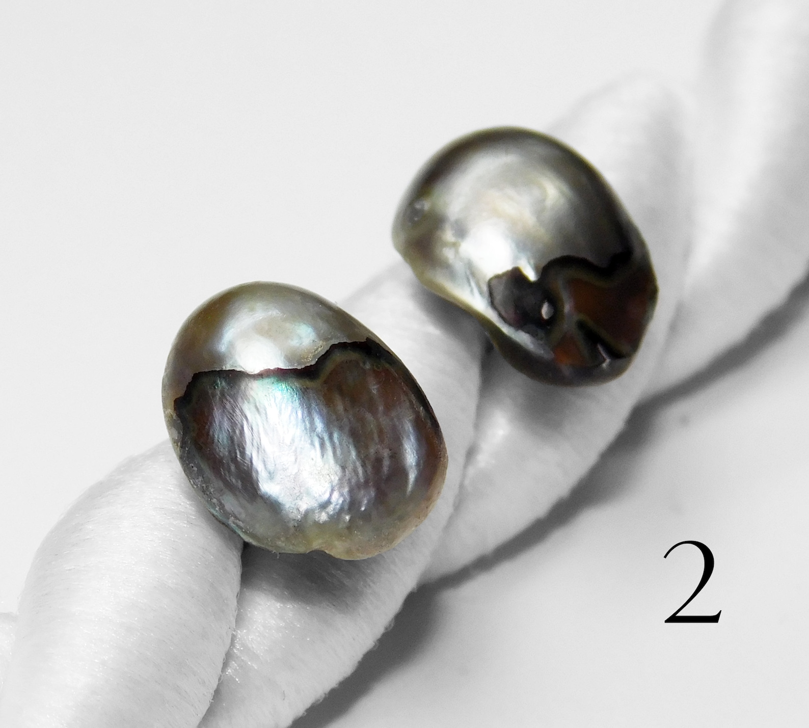 Abalone Pearl Stud Earrings Cultured Abalone Pearl Choice Etsy