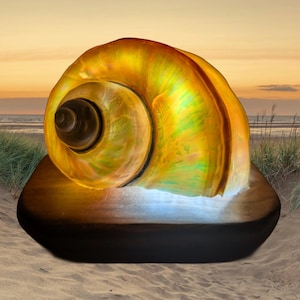 May include: A large, iridescent seashell sculpture with a spiral design, illuminated with warm yellow and green hues. The shell rests on a dark, oval-shaped base, set against a beach scene with a sunset backdrop.