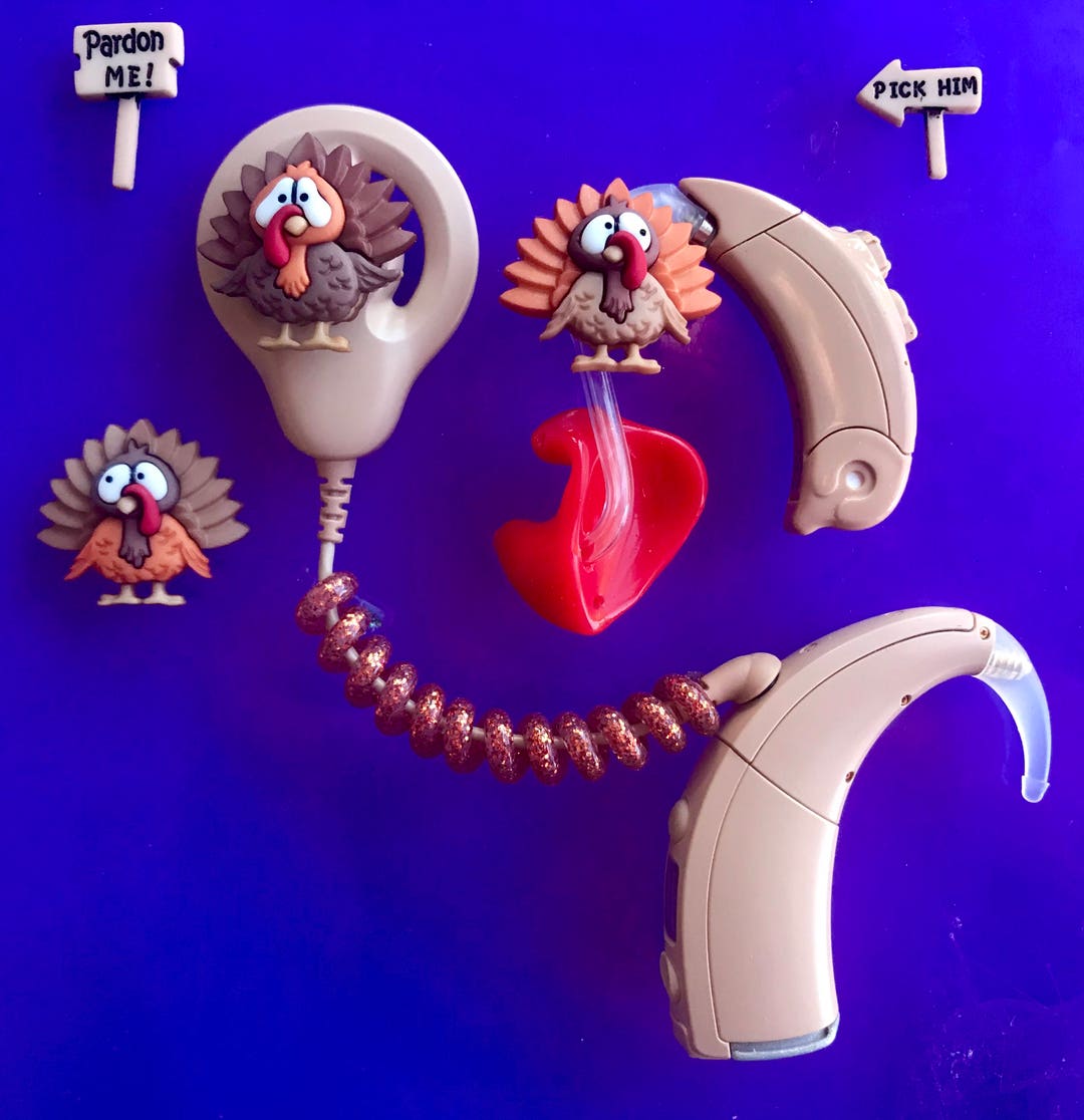Hearing Aid Accessory and Cochlear Implant Accessories Turkeys Etsy
