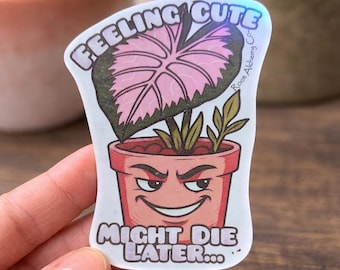 Pegatina divertida de "Me siento linda"