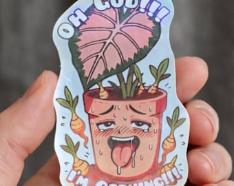 Pegatina divertida de "Soy Corming"