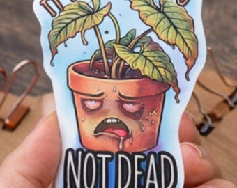 Divertida pegatina de "Simplemente descansando"