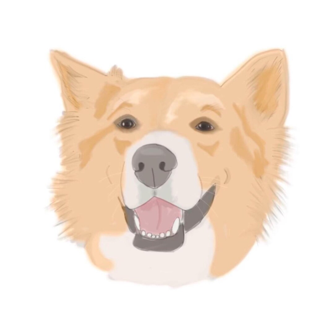 Custom Pet Portrait Digital Download| Personalized Dog Cat Art ...