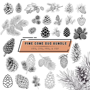 Puede incluir: Una colección de ilustraciones de arte lineal en blanco y negro con varios conos de pino y ramas de hoja perenne. Un banner rectangular naranja central contiene el texto PINE CONE SVG BUNDLE y SVG, JPG, PNG, & PDF en letras negras.