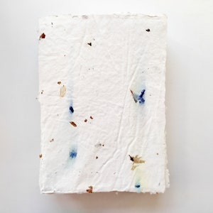 50 biglietti vuoti / fatti a mano, formato A6, bordo frastagliato, petali naturali di carta riciclata / ecologici / diversi colori / inviti fai da te, lettere