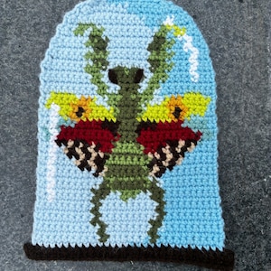 Op de afbeelding: Een gehaakte muts met een insectenontwerp. De muts heeft een lichtblauwe achtergrond en een donkerbruine rand. Het insect is gedetailleerd met groene, gele, rode en bruine accenten, wat een levendige en getextureerde uitstraling creëert.