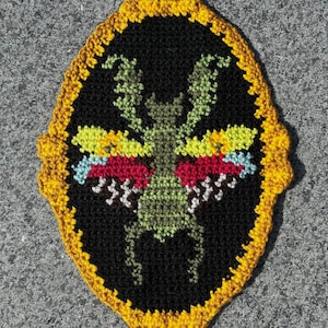 May include: A handcrafted crochet wall hanging with a stylized insect design. The insect is green with colourful wings of red, yellow, and blue, set against a black background. The piece is framed by a yellow border.