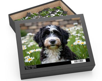 May include: A black puzzle box with a photograph of a black and white dog in a field of daisies. The box is open, revealing puzzle pieces. The box reads "8x10 Puzzle 120 pcs Ages 9+"