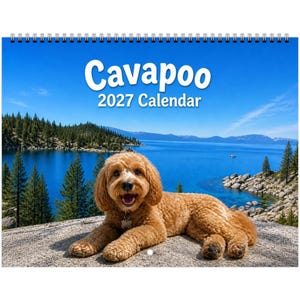 May include: A 2027 wall calendar featuring a golden-brown Cavapoo dog lying on a rocky surface. The background displays a scenic blue lake surrounded by pine trees and distant mountains. The text Cavapoo 2027 Calendar is printed in white.