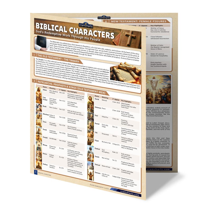 Biblical Characters Quick Reference Guide Old and New Testament Figures