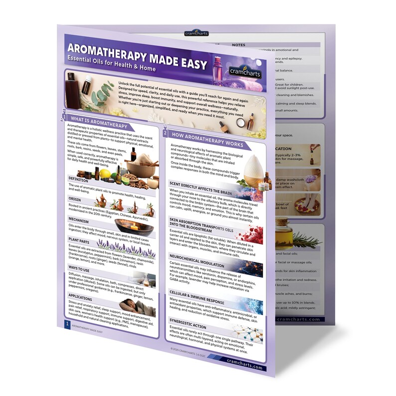 Puede incluir: Gr&aacute;fico de referencia de aromaterapia titulado "Aromaterapia f&aacute;cil" con aceites esenciales para la salud y el hogar. El gr&aacute;fico incluye informaci&oacute;n sobre aromaterapia, c&oacute;mo funciona y sus aplicaciones. La combinaci&oacute;n de colores es p&uacute;rpura, blanco y marr&oacute;n.