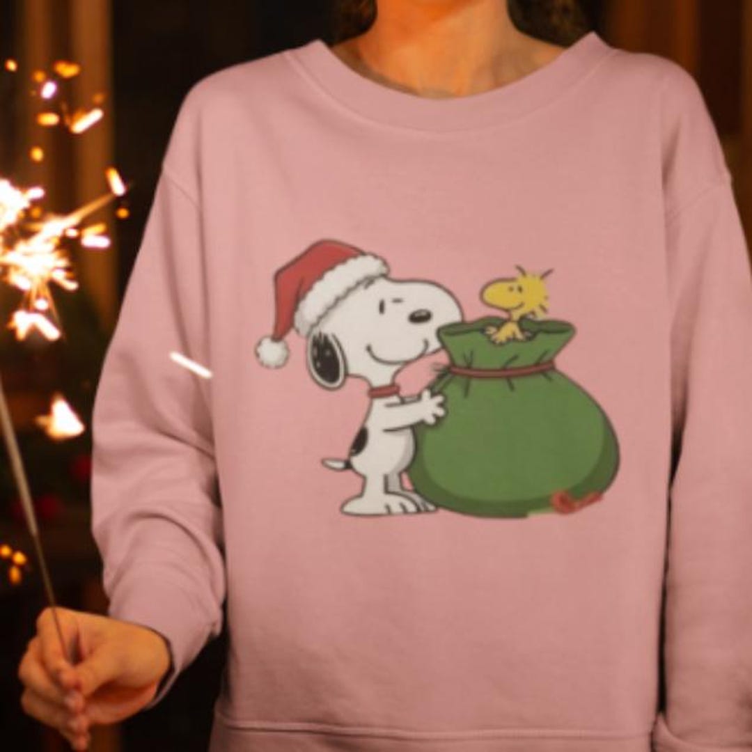 Snoopy & Woodstock Christmas Lights Sweatshirt – Peanuts Friends ...