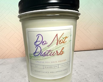 Candle Do Not Disturb Unless You Have Snacks -gift - 100% soy 8oz