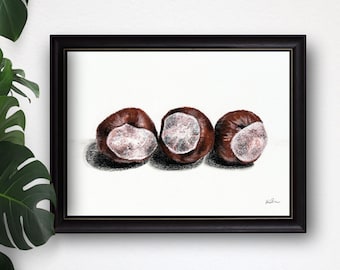 Fine Art Print: Chestnut Still Life Charcoal Drawing, Minimalist Wall Art & Bookshelf Decor