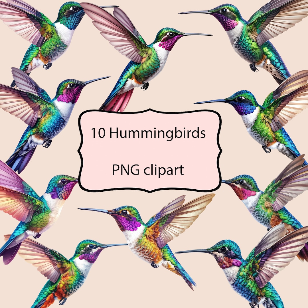Colorful Hummingbirds Clipart, Transparent Clipart, Junk Journal ...
