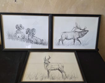 James Jokerst 1983 Western Wildlife Portfolio Art Set trois lithographies encadrées 10 x 12 illustrations au crayon Mammifères d'Amérique du Nord