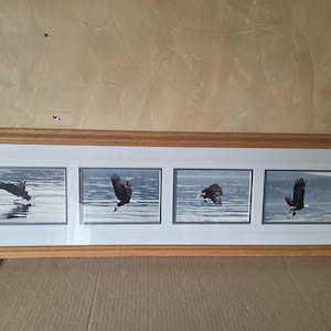 May include: A framed artwork featuring four panels depicting a bald eagle in flight over water. The eagle is dark brown with white head and tail feathers. The frame is made of light brown wood.