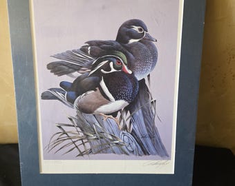 1970er-1990er Jahre vintage Künstler signierte limitierte nummerierte 1577/4950 Druck ""Color Guard"" von Art LaMay mit einem sitzenden Entenpaar."