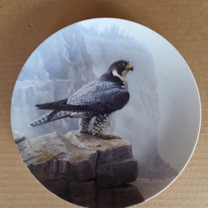 May include: A decorative plate featuring a detailed illustration of a falcon perched on a rock. The bird has dark gray and white feathers, with a yellow beak and eye. The background depicts a misty mountain scene.