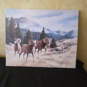 May include: A rectangular canvas print depicting three bighorn sheep standing in a dry, grassy mountain landscape. The background features dark green pine trees, rocky terrain, and snow-capped mountains under a pale blue and cloudy sky.
