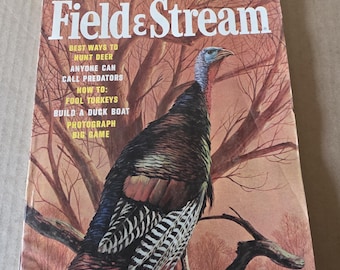 November 1965 field & stream magazine