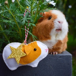 Guinea Pig Ornament with Personalised Tag