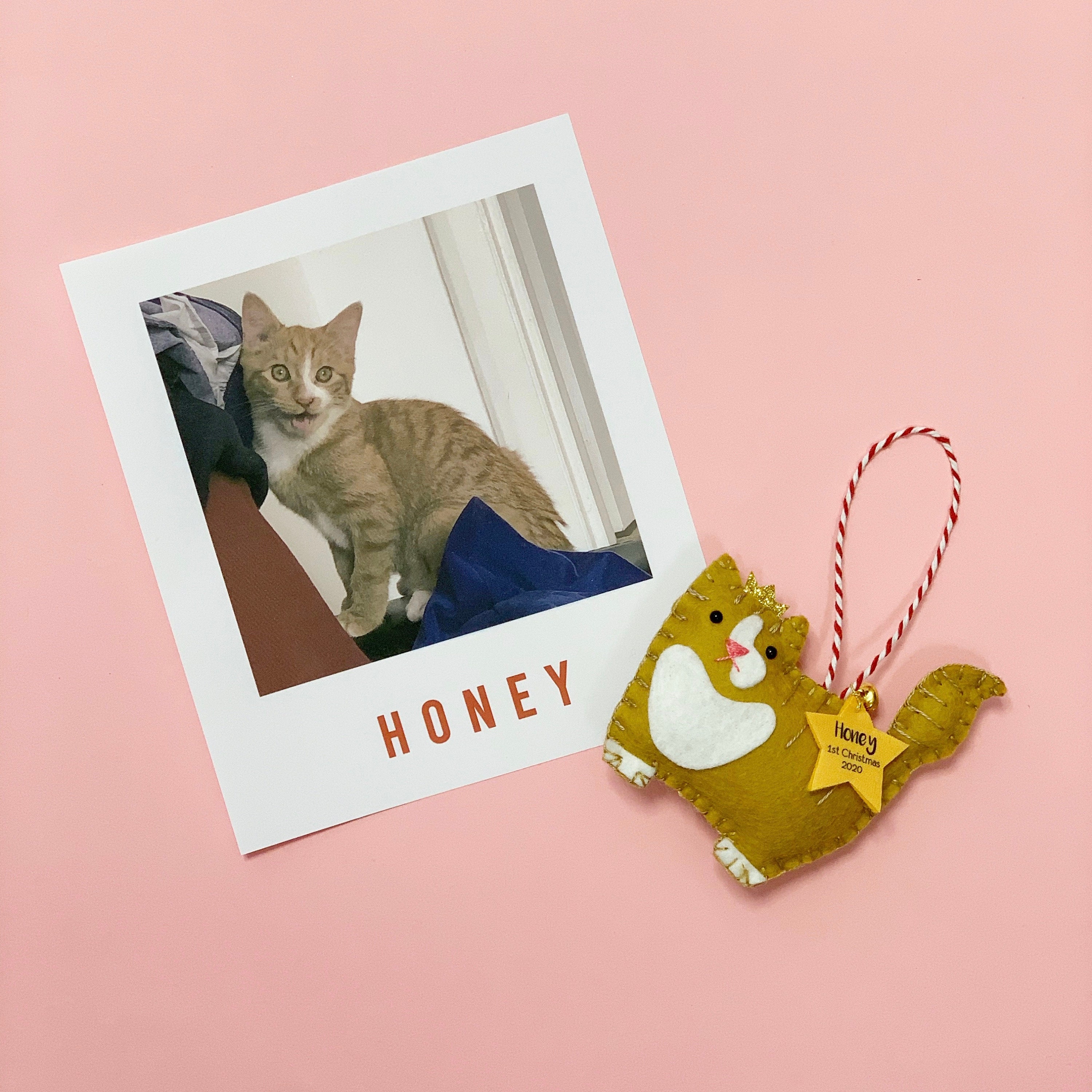 Cat Christmas Ornament Personalised - Etsy UK