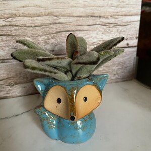 May include: A small, blue ceramic fox planter with a distressed finish, holding a succulent plant. The fox planter has large, tan-colored eyes and a black nose. The succulent has soft, green leaves with a fuzzy texture, adding a natural element to the decorative piece.