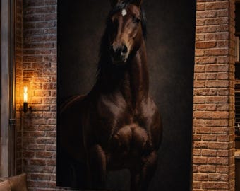 Caballo de la bahía — Estudio de retrato cálido y dramático