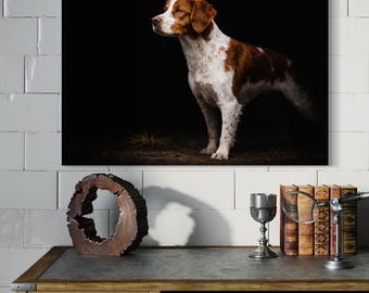 Spaniel Bretón en Acción – Impresión Artística de Perro Deportivo