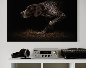 Braco Alemán en Acción – Impresión Artística de Perro Deportivo