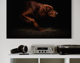 Setter irlandés en acción: impresión artística de perro deportivo