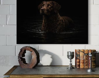 Impresión artística de un perro perdiguero de la bahía de Chesapeake en acción: perro deportivo